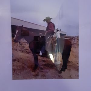 Meet your Posher, Dan